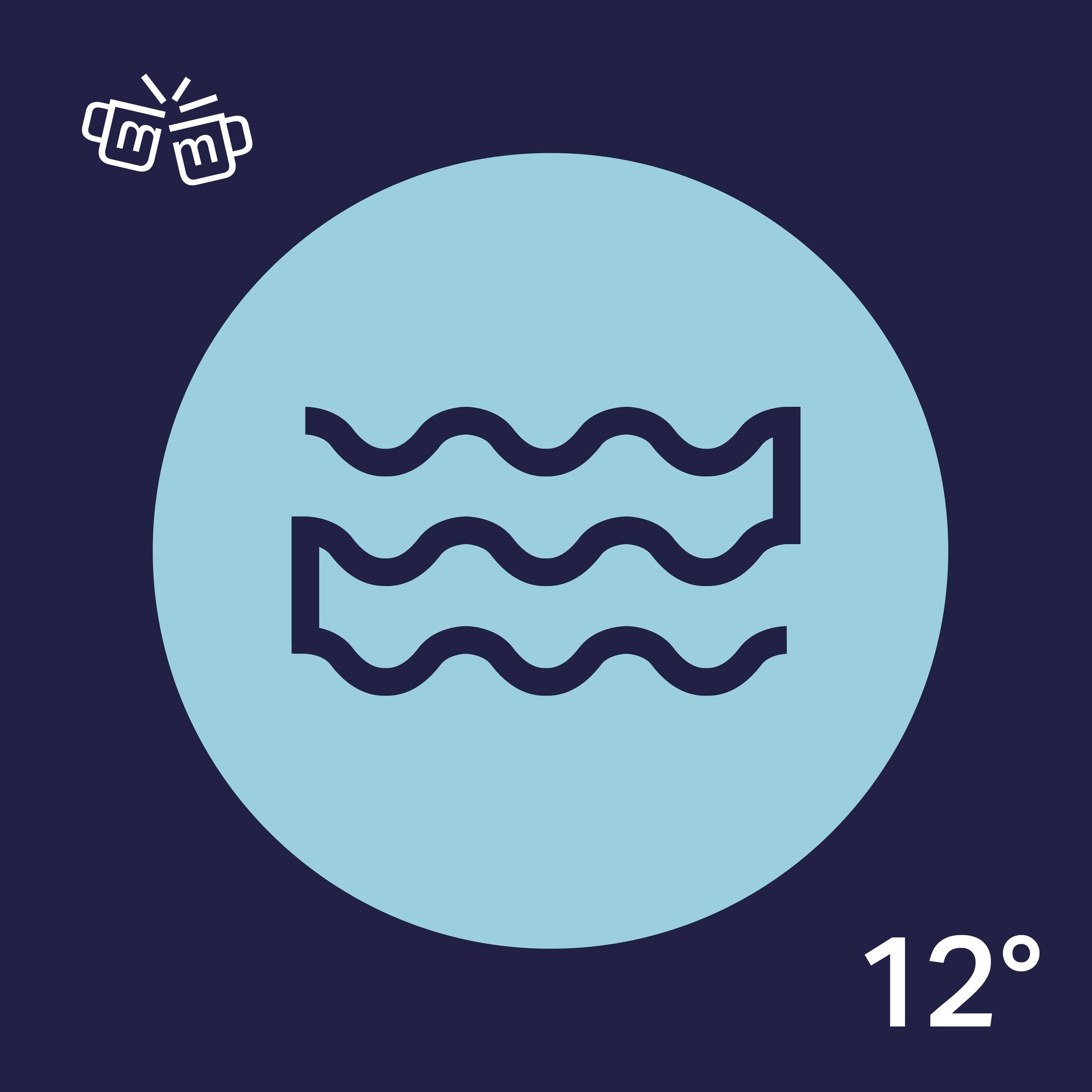 Kníže 12° ALE
